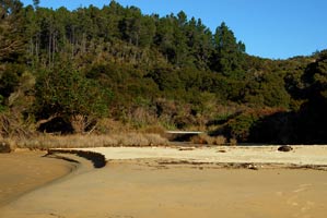 Abel Tasman Coastal Track